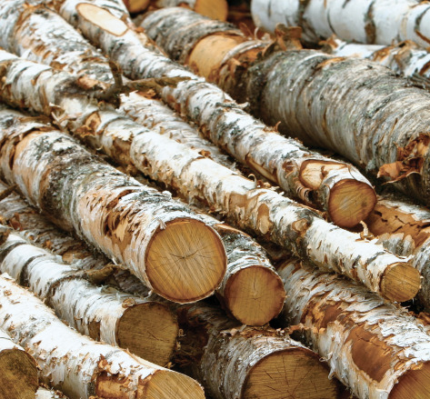 USP 82498 Image 02 Logs