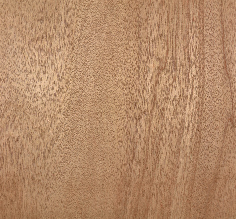 USP 82498 Image 04 Panel meranti